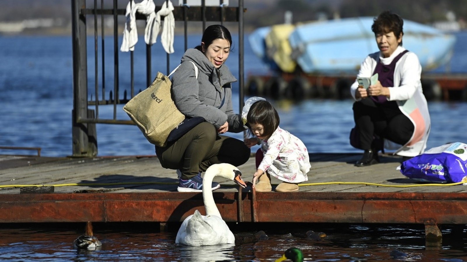 Japón está "al límite" de su funcionamiento social por la baja tasa de natalidad